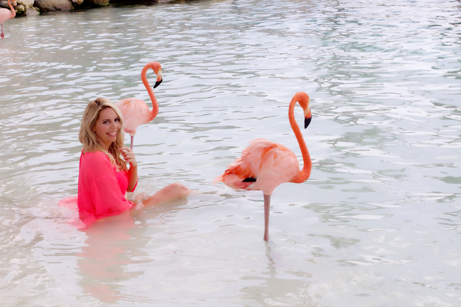 Aruba Flamingo Island.