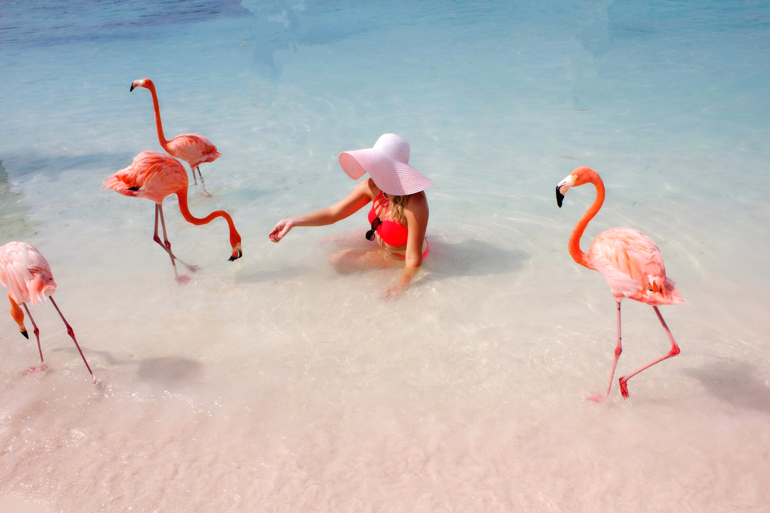 Остров Кайо Коко Фламинго