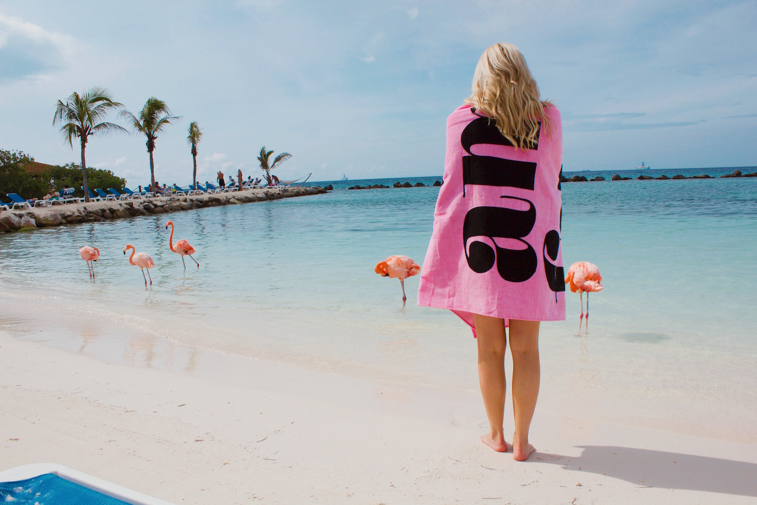 pink-the-town-amanda-losier-flamingo-beach-aruba-152